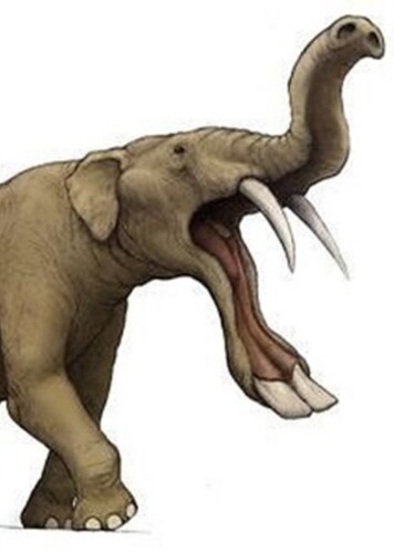 Torynobelodon