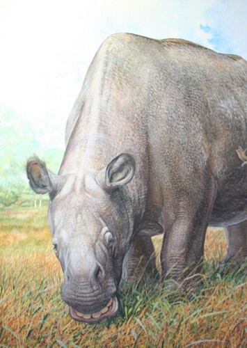 Toxodon