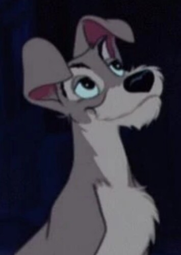 Tramp (Lady and the Tramp)