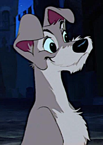 Tramp (Lady and the Tramp)