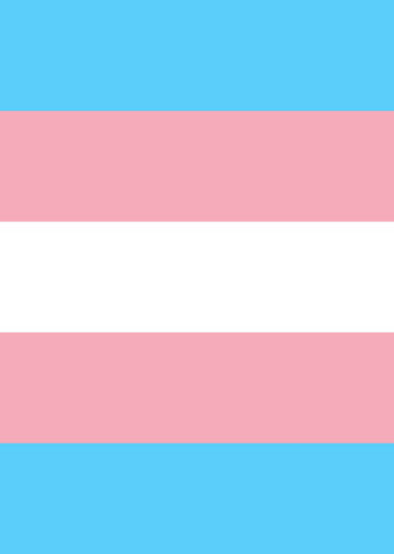 Transmasc (Canon)