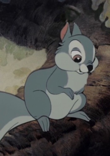 Tree Squirrel