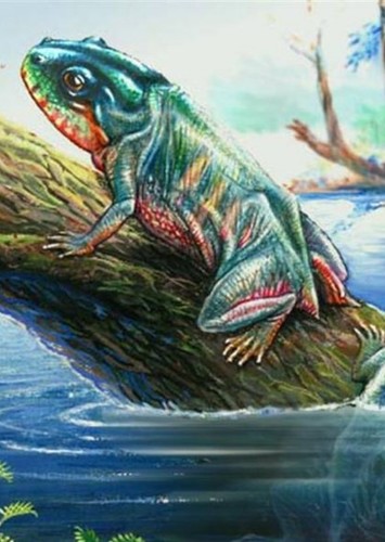 Triadobatrachus