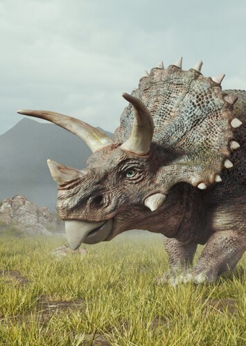 Triceratops