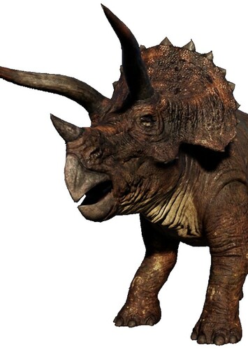 Triceratops