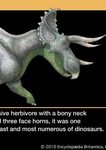 Triceratops
