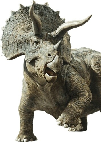 Triceratops (Jurassic Park)