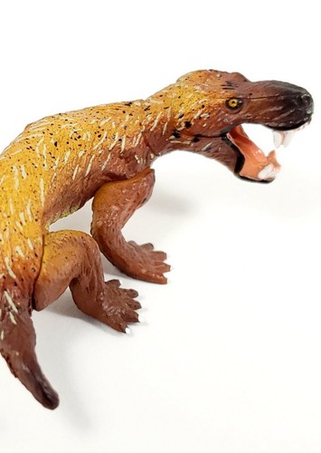 Trochosaurus