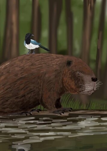 Trogontherium