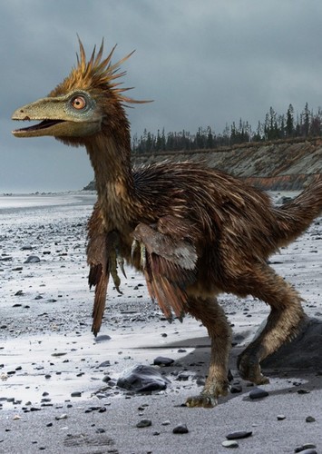 Troodon
