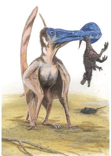 Tropeognathus