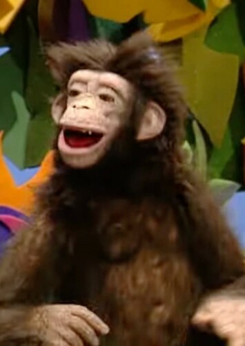 Trudy The Chimpanzee