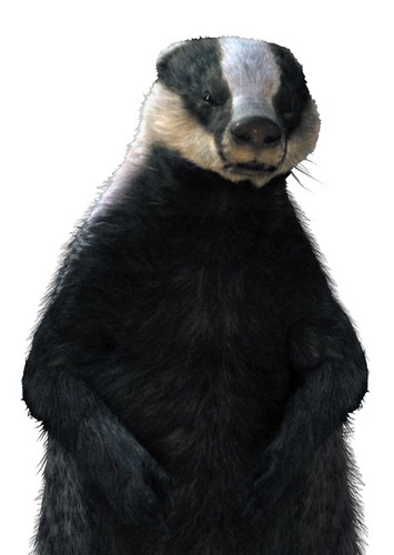 Trufflehunter