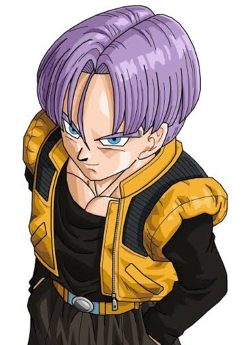Trunks Briefs (Adult)