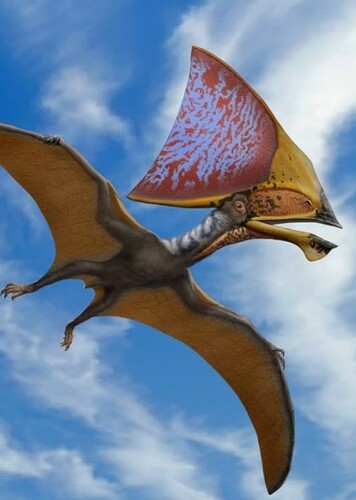 Tupandactylus