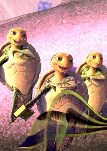 Turtles At Whale Wash