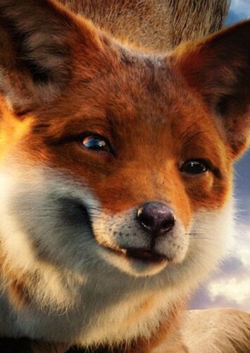 Tutu the Red Fox