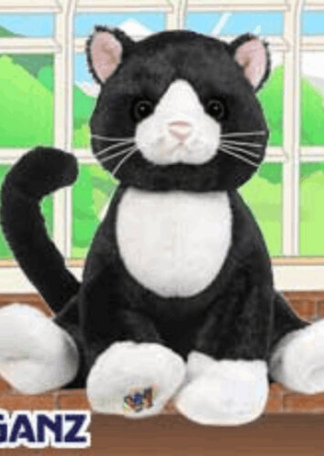 Tuxedo Cat