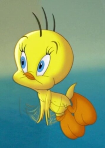 Tweety