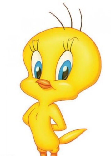 Tweety Bird