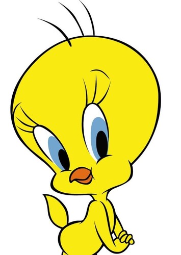 Tweety Bird