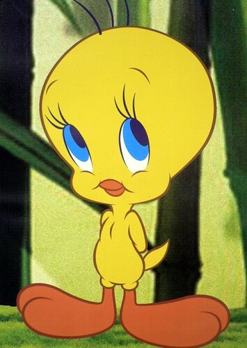 Tweety Bird