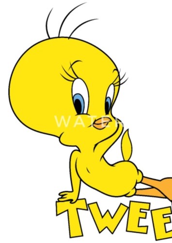 Tweety Bird
