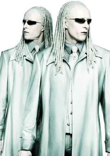 The Twins