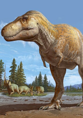 Tyrannosaurus Rex