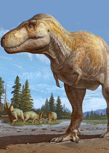 Tyrannosaurus Rex