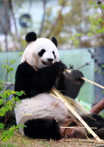Ueno Zoological Gardens