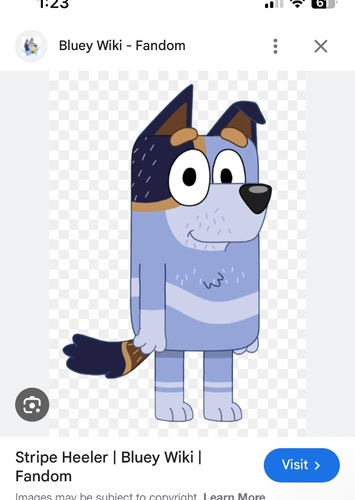 Uncle stripe