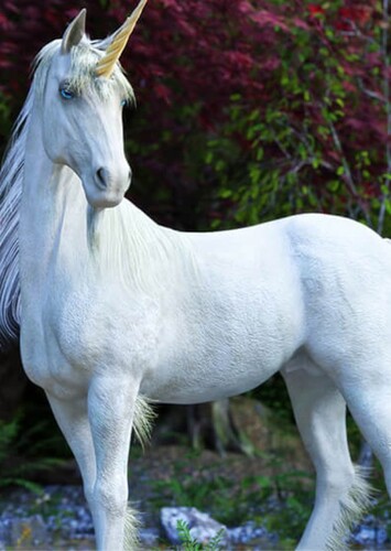 Unicorn