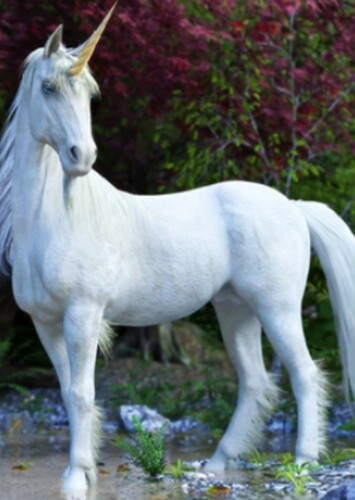 Unicorn