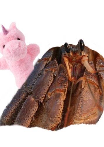 Unicorn Crab