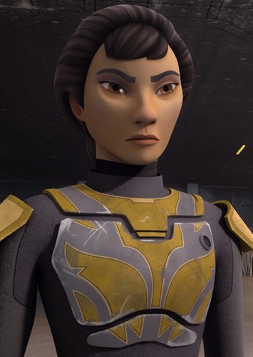 Ursa Wren