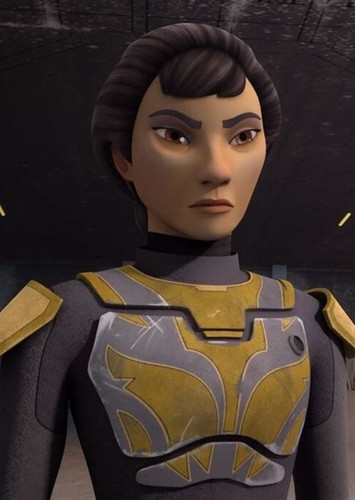 Ursa Wren