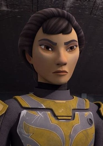 Ursa Wren