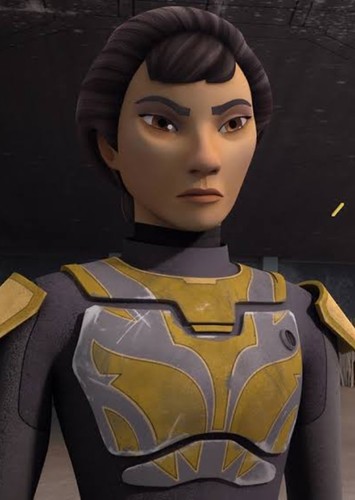 Ursa Wren