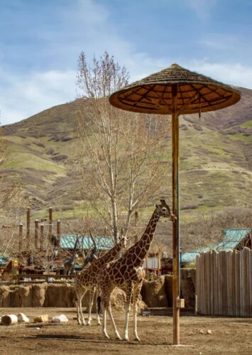 Utah's Hogle Zoo