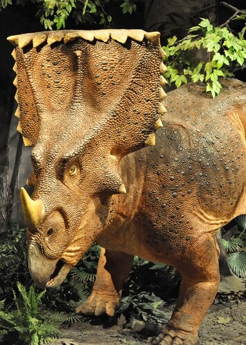 Vagaceratops