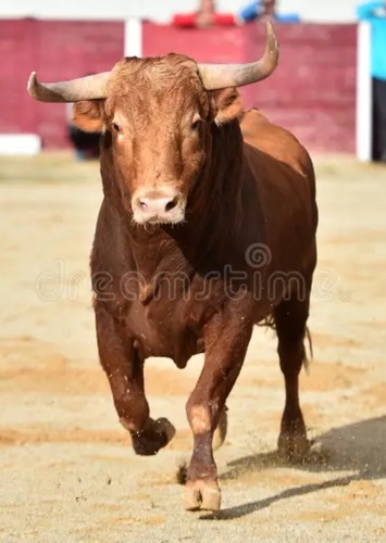 Valiente