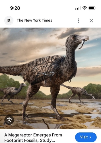 Velociraptor