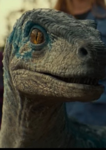 Velociraptor Beta