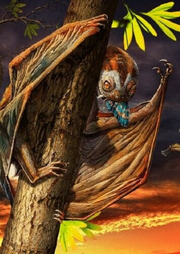 Vesperopterylus