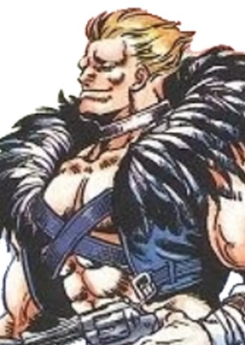 Vice Terhune