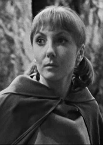 Vicki Pallister