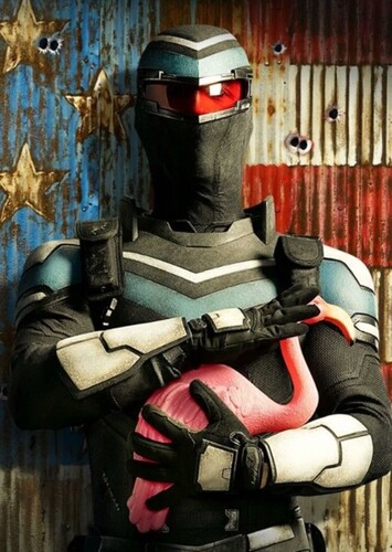 Vigilante