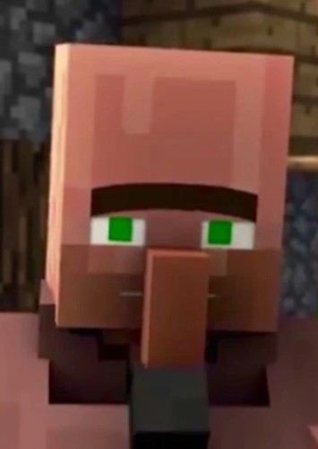 Villager No. 9