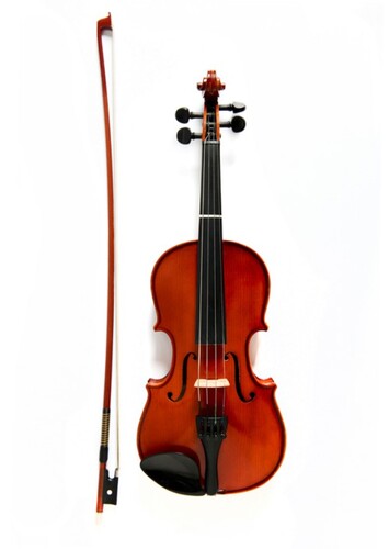 Viola